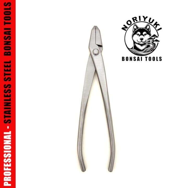 Pinza Bonsai Noriyuki 210 mm – Acciaio Inox Professionale | FlorBonsai