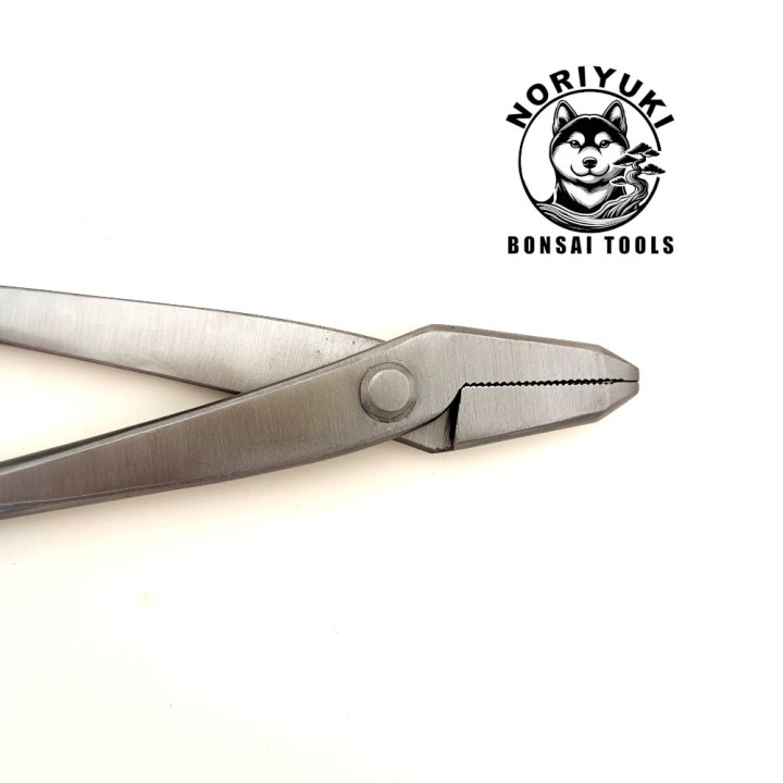 Pinza Bonsai Noriyuki 210 mm – Acciaio Inox Professionale | FlorBonsai
