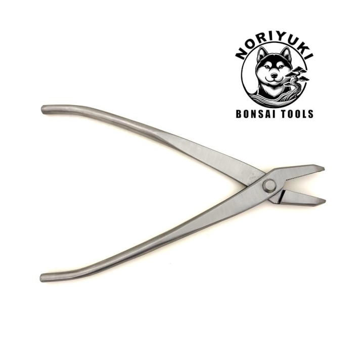 Pinza Bonsai Noriyuki 210 mm – Acciaio Inox Professionale | FlorBonsai