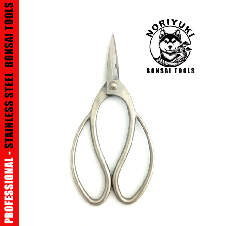 Forbici per Radici Bonsai 210mm Inox – Noriyuki | FlorBonsai