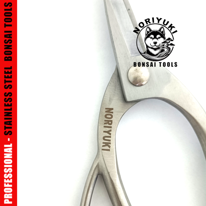 Forbici per Radici Bonsai 210mm Inox – Noriyuki | FlorBonsai