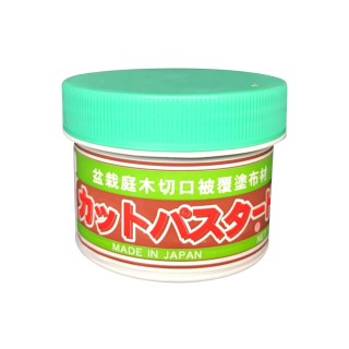 Mastice giapponese in pasta - Tappo Verde - 190g