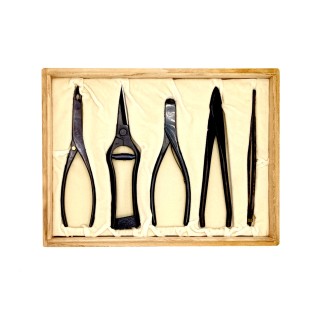 Set 5 Attrezzi Bonsai Deluxe | Scatola in Legno Elegante | FlorBonsai