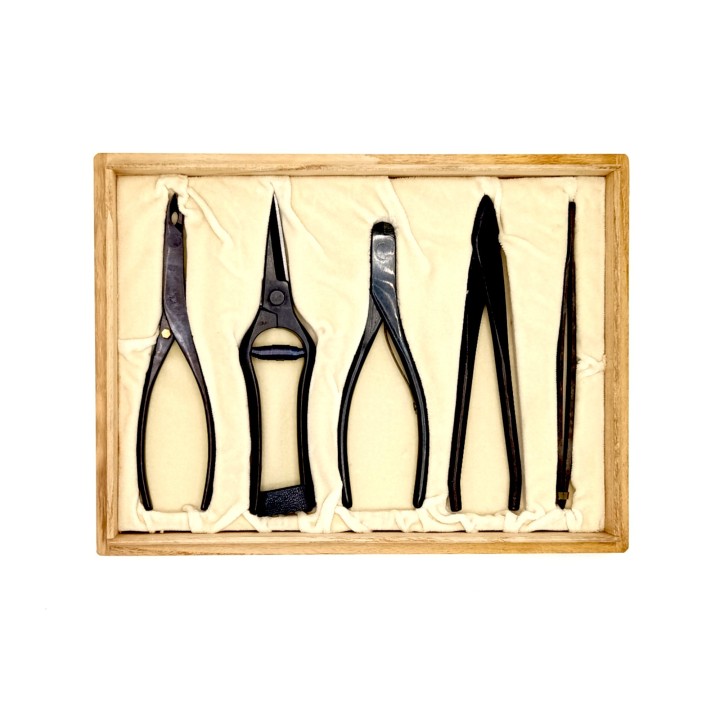 Set 5 Attrezzi Bonsai Deluxe | Scatola in Legno Elegante | FlorBonsai
