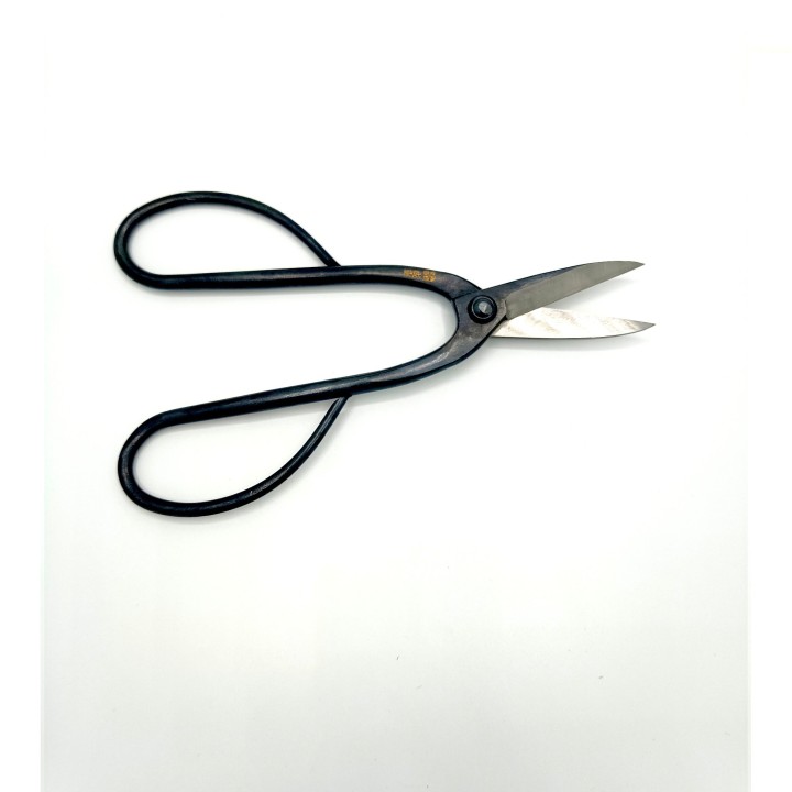 Forbici Potatura Bonsai 200 mm in Acciaio Brunito | FlorBonsai