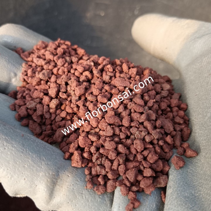 Lapillo Vulcanico per Bonsai 2–5 mm | Substrato drenante 5L | FlorBonsai