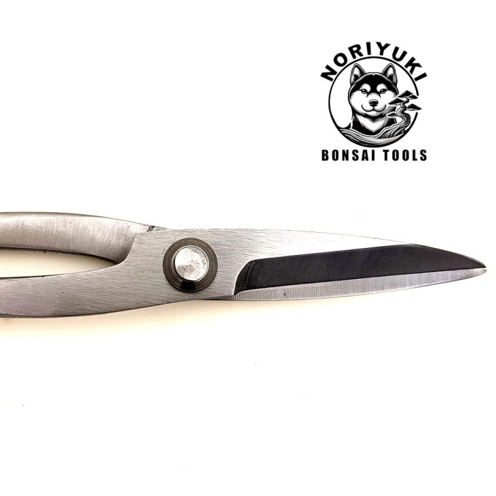 Forbici Bonsai Noriyuki 210mm – Acciaio Inox Professionale