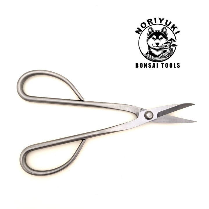 Forbici Bonsai Noriyuki 210mm – Acciaio Inox Professionale