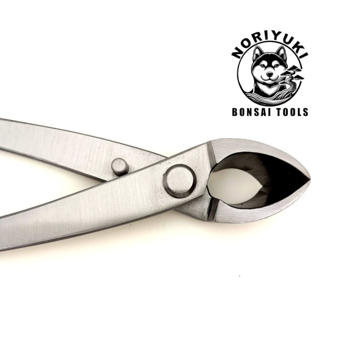 Mug The best is yet to come