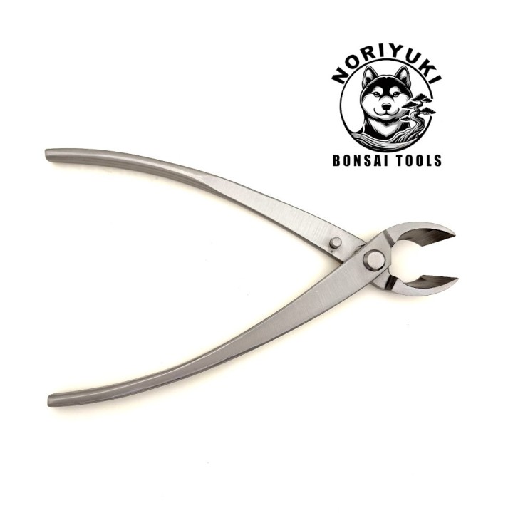 Tronchese concava bonsai Noriyuki 210mm – Acciaio Inox