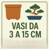 Vasi da 1 - 15 cm