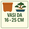Vasi da 16 -25 cm