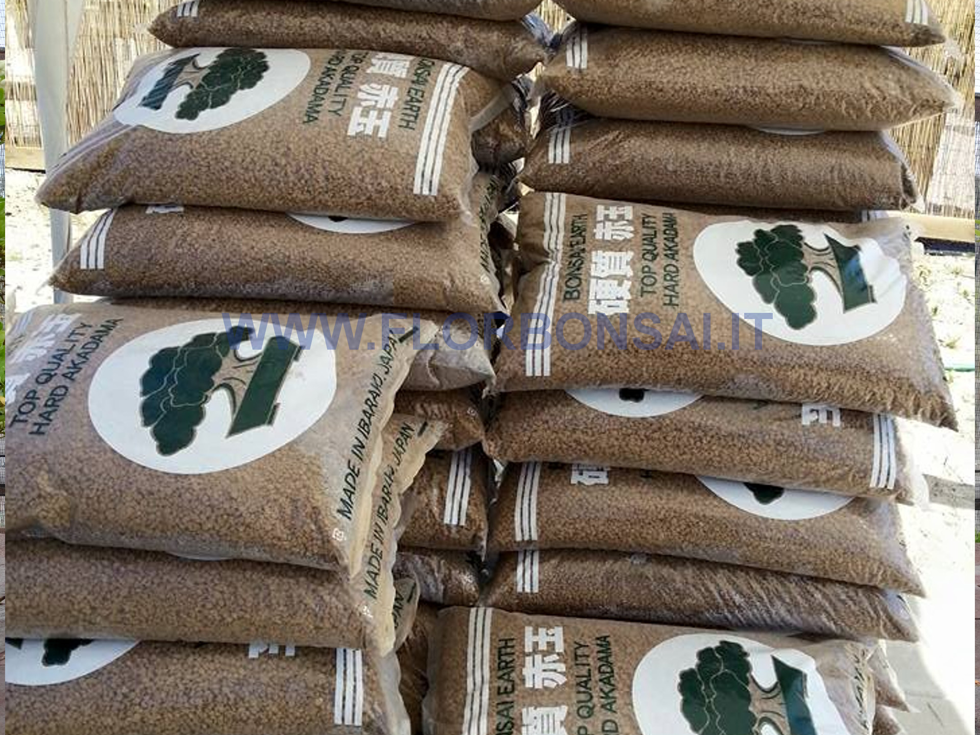 Akadama per Bonsai: Cos’è e Come Usarla